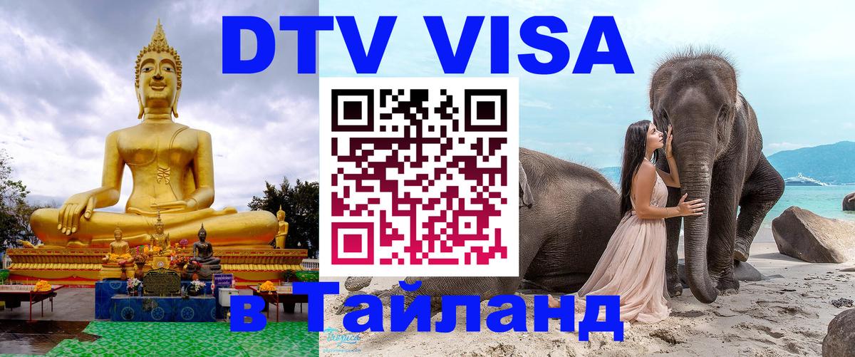 Сколько стоит DTV виза — актуальные цены, оформление даже без документов - Ереван  20.11.2025 